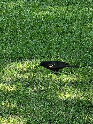 Park «Little Bay Park», reviews and photos, Cross Island Pkwy, Whitestone, NY 11357, USA