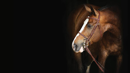 Greenhawk Equestrian Sport - Grande Prairie