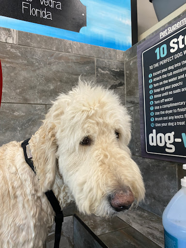 Pet Supply Store «Pet Supermarket», reviews and photos, 880 A1A N, Ponte Vedra Beach, FL 32082, USA