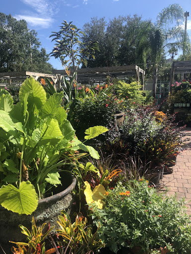 Hardware Store «Proctor Ace Hardware», reviews and photos, 870 A1A N, Ponte Vedra Beach, FL 32082, USA