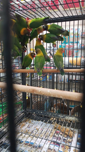 Animal Feed Store «Farmers Feed & Pet Supply», reviews and photos, 1302 E Miner Ave, Stockton, CA 95205, USA