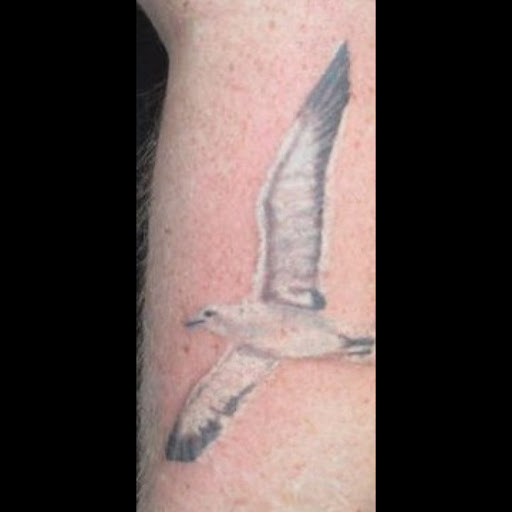 Tattoo Shop «Tattoo Rock Star», reviews and photos, 525 Old Westminster Pike, Westminster, MD 21157, USA