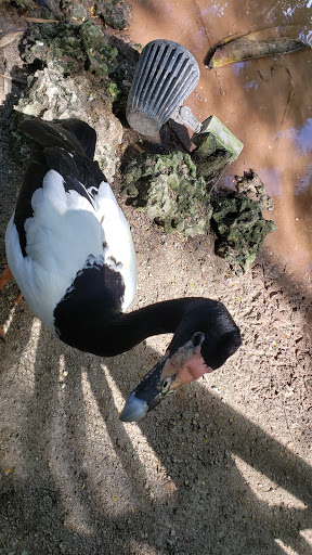 Tourist Attraction «Walton House», reviews and photos, 28501 SW 187th Ave, Homestead, FL 33030, USA