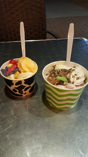 Ice Cream Shop «Yogurt Jungle», reviews and photos, 21101 N John Wayne Pkwy #105, Maricopa, AZ 85139, USA