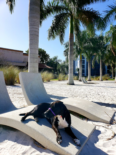 Water Park «Riverwalk Splash Park», reviews and photos, 452 3rd Ave W, Bradenton, FL 34205, USA