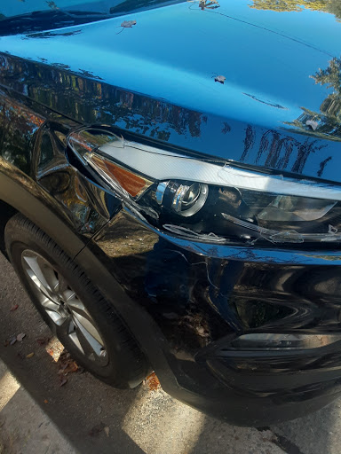 Auto Repair Shop «Northern Virginia Auto Body Work Shop Inc.», reviews and photos, 3160 Roanoke St, Fairfax, VA 22031, USA