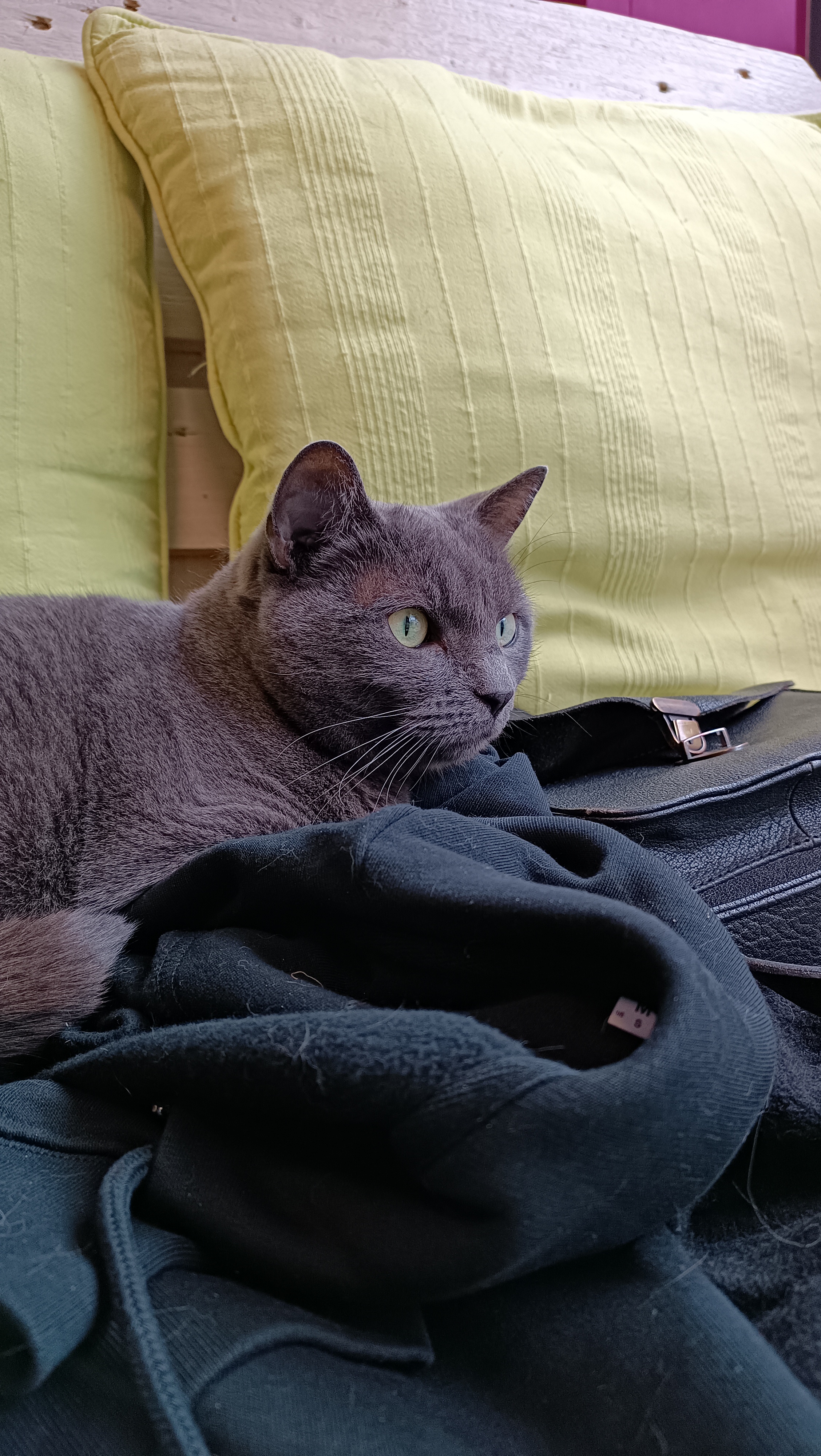 Photo n° 1 de l'avis de Mathilde.U fait le 14/12/2022 à 11:48