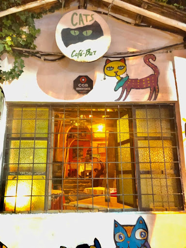 Cat cafe in Quito