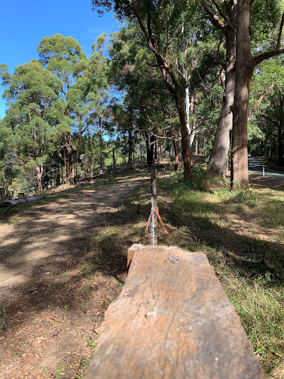 Schusters Lookout