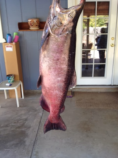 Bait Shop «Elkhorn Outdoor Sports», reviews and photos, 6745 20th St, Rio Linda, CA 95673, USA