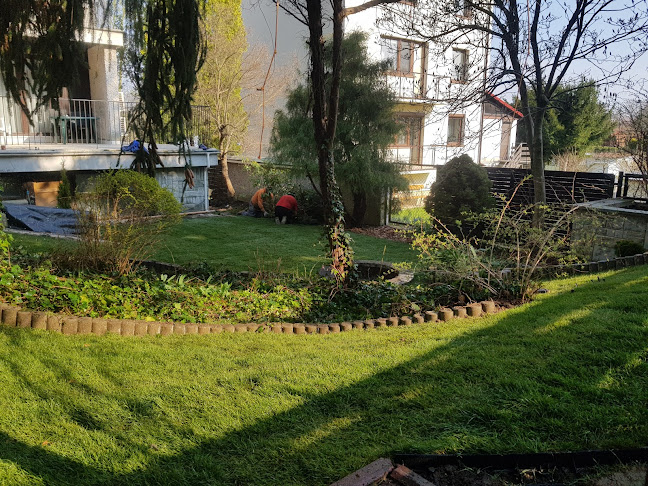 Komentarze i opinie o KK Ogrody Piotr Kołtun