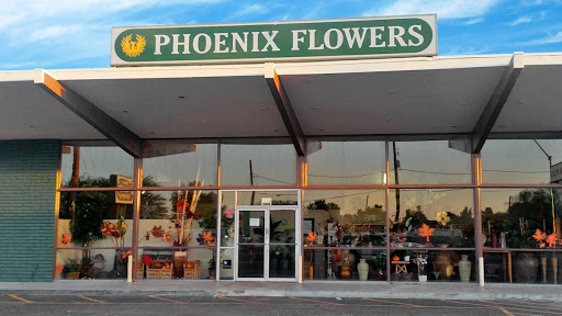 Phoenix Flower Shops, 5018 W Northern Ave, Glendale, AZ 85302, USA, 