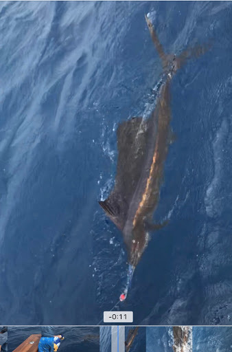 Explore dragon tattoo ideas for women, creative tattoo ideas in South Padre Island, available at Peggys Temporary & Permanent Tattoos