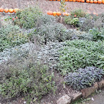 Photo n°6 de l'avis de Jennifer.l fait le 15/10/2019 à 12:46 sur le  Hof Löbke GmbH & Co. KG à Ibbenbüren