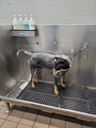 Pet Supply Store «Pet Supplies Plus», reviews and photos, 1150 N Court St #2A, Medina, OH 44256, USA