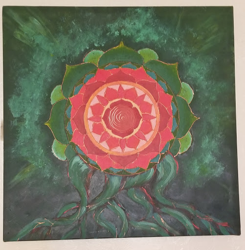 Home Goods Store «Dollar General Market», reviews and photos, 7241 FL-54, New Port Richey, FL 34653, USA