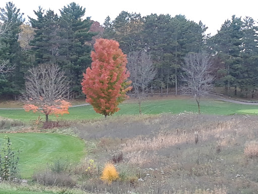 Golf Course «Inver Wood Golf Course», reviews and photos, 1850 70th St E, Inver Grove Heights, MN 55077, USA