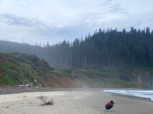 Roofing Contractor «A Good Roof», reviews and photos, 5815 Sea View Ave, Tillamook, OR 97141, USA