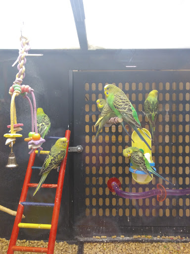 Pet Supply Store «PetSmart», reviews and photos, 5 Mystic View Rd, Everett, MA 02149, USA