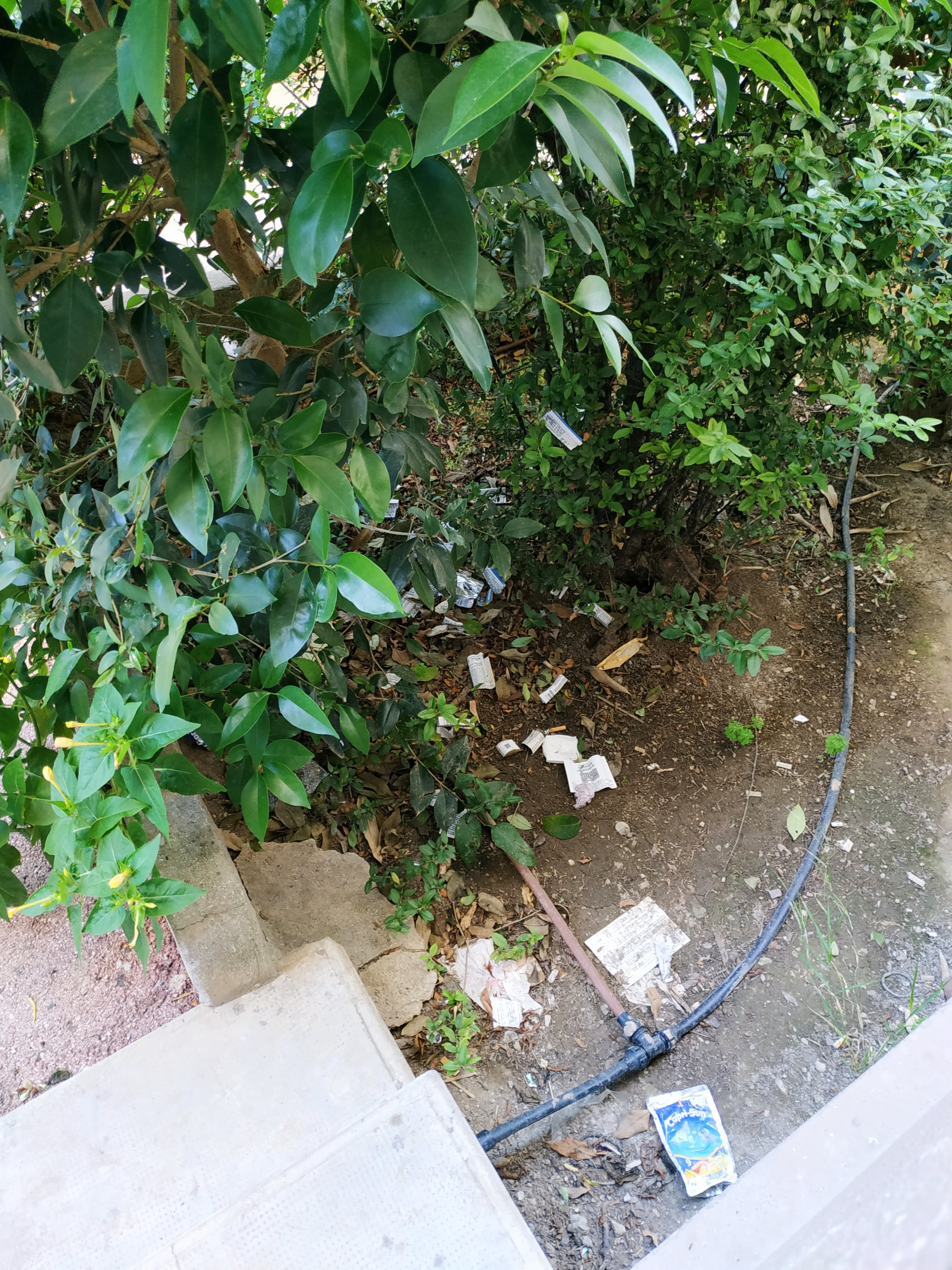 Photo n° 2 de l'avis de Caille. fait le 21/09/2020 à 16:23