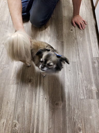 Lodging «PetSmart North Ogden», reviews and photos, 175 W 12th St, Ogden, UT 84404, USA