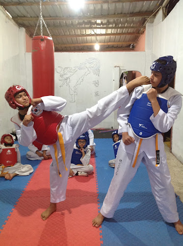 Opiniones de Academia de Taekwondo FIREKICK en Machala - Gimnasio