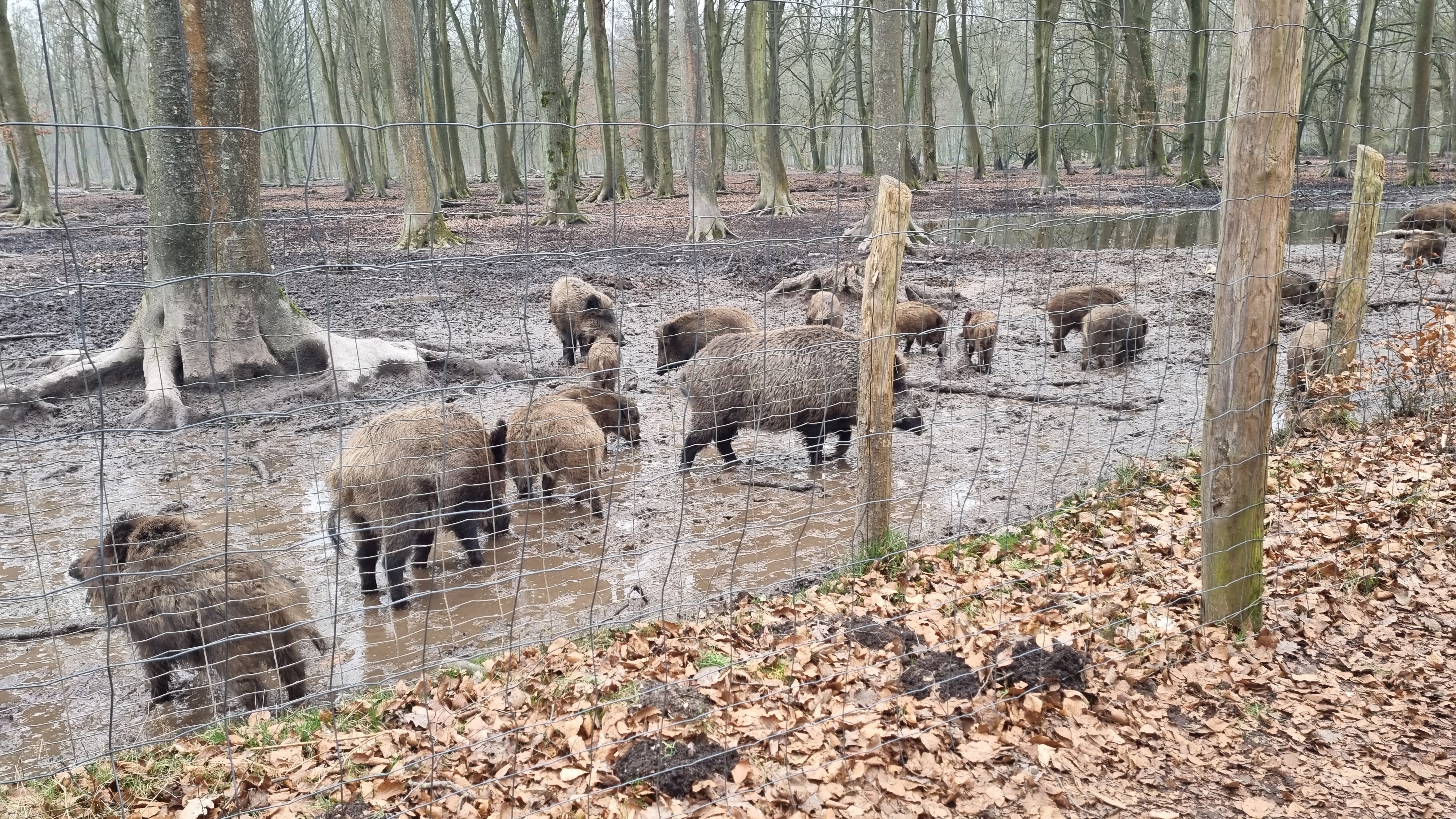 Photo n° 3 de l'avis de Boulart.n fait le 09/02/2022 à 16:21