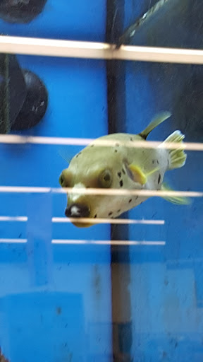 Pet Supply Store «Petco Animal Supplies», reviews and photos, 4755 U.S. 9, Howell, NJ 07731, USA