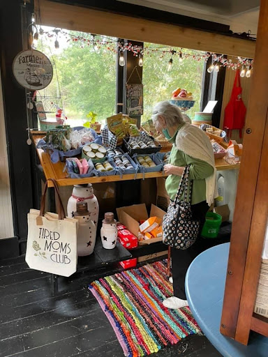 Hostel «Blue Goose Bike Hostel», reviews and photos, 128 E Main St, Irwinton, GA 31042, USA