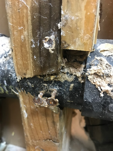 Plumber «Roto-Rooter Plumbing & Drain Services», reviews and photos, 1310 Pacific Ave, Everett, WA 98201, USA