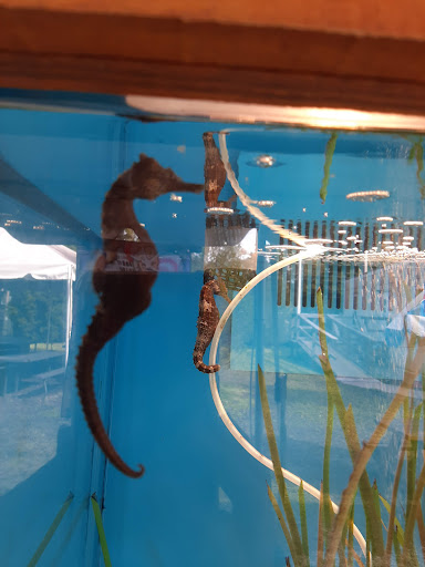 Aquarium «St. Augustine Aquarium», reviews and photos, 2045 FL-16, St Augustine, FL 32084, USA