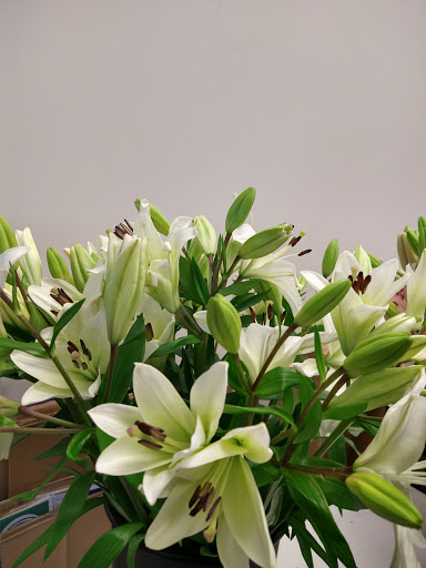 Florist «Grace Harper Florist, Inc.», reviews and photos, 4135 Woodward Ave, Detroit, MI 48201, USA