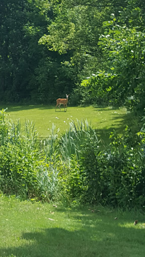 Golf Course «Turnberry Golf Course», reviews and photos, 1145 Clubhouse Ln, Pickerington, OH 43147, USA