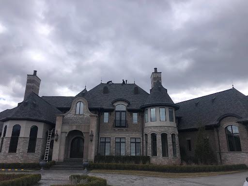 Animal Control Service «Platinum Wildlife Removal», reviews and photos