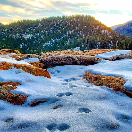 Hiking Area «Seven Falls», reviews and photos, 6 Lake Ave, Colorado Springs, CO 80906, USA