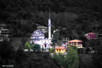 Servetiye Camii Köyü Muhtarlığı