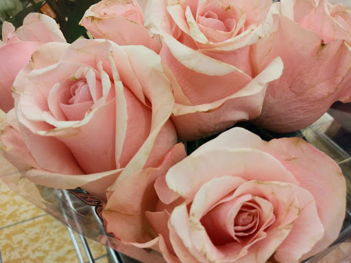 Supermarket «ALDI», reviews and photos, 1200 Southfield Rd, Lincoln Park, MI 48146, USA