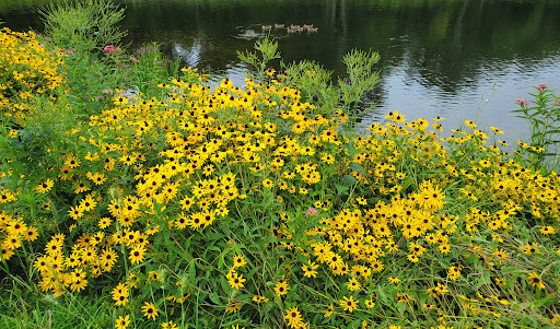 Golf Club «Columbia Golf Club», reviews and photos, 3300 Central Ave NE, Minneapolis, MN 55418, USA