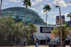 Aquarium Parking Lot