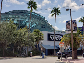 Aquarium Parking Lot