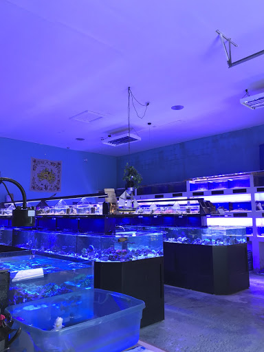 Tropical Fish Store «Marine Solutions», reviews and photos, 20 Triad S Dr, St Charles, MO 63304, USA