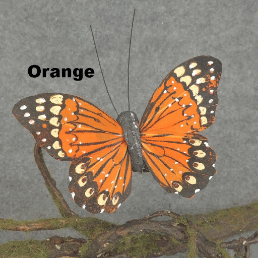 Florist «FloralSupply.com», reviews and photos, 1570 Nicholls Rd, Fruit Heights, UT 84037, USA