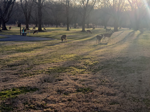 Public Golf Course «Algonkian Golf Course», reviews and photos, 47001 Fairway Dr, Sterling, VA 20165, USA