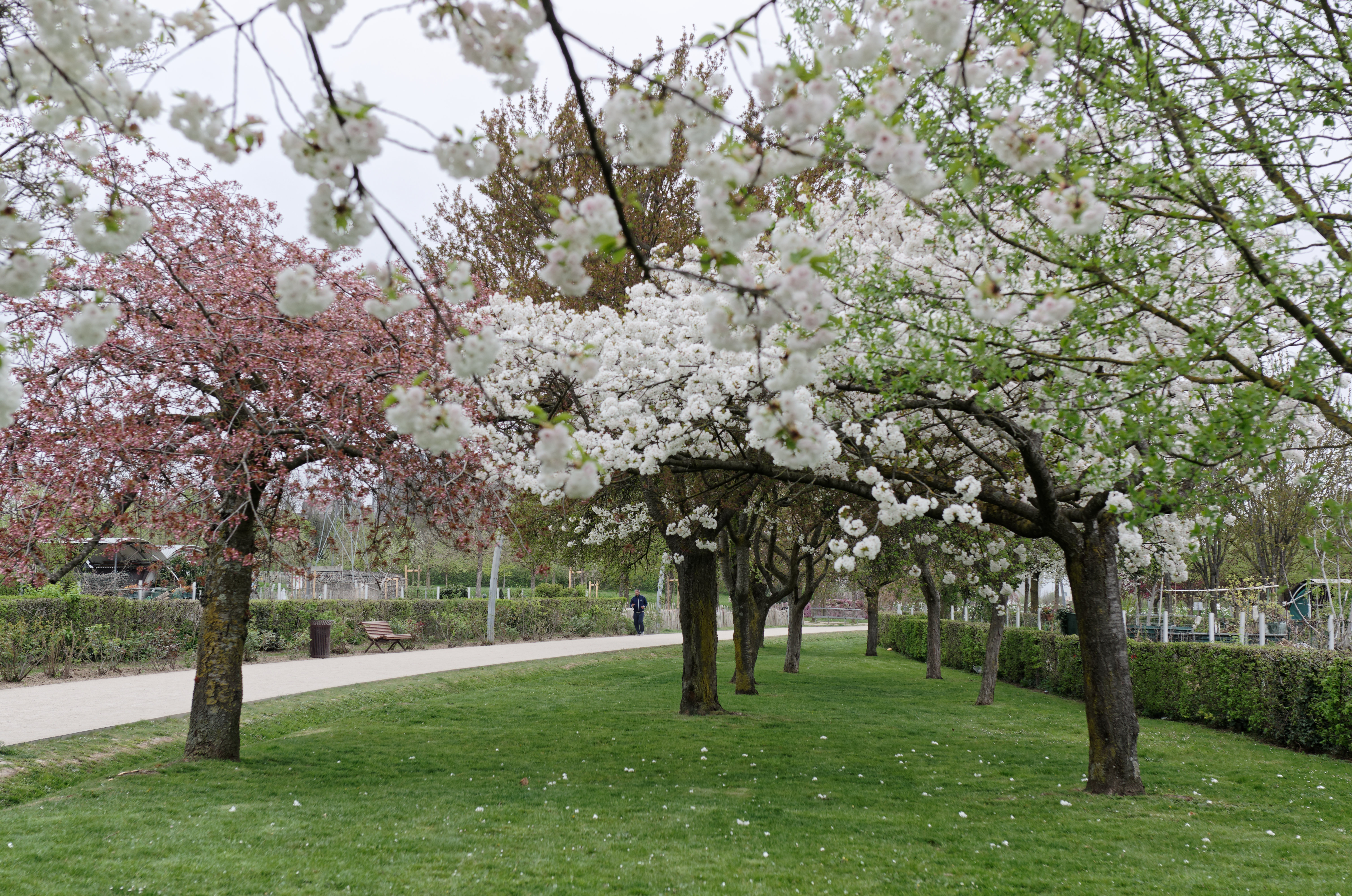 Photo n° 3 de l'avis de Donato.l fait le 04/04/2021 à 23:09