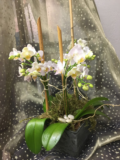 Florist «Floral Arts Florist», reviews and photos, 3584 Mt Diablo Blvd, Lafayette, CA 94549, USA