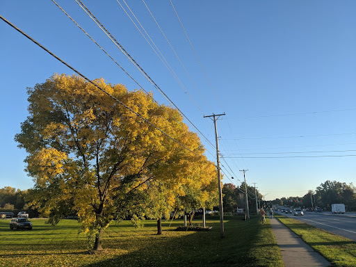 Car Dealer «Almartin Volvo Cars», reviews and photos, 85 Executive Dr, Shelburne, VT 05482, USA