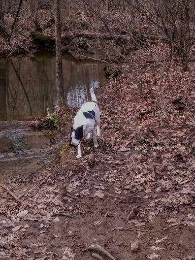 Water Park «Wetlands Water Park», reviews and photos, 1523 TN-81 Truck, Jonesborough, TN 37659, USA