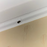 Photo n°1 de l'avis de Marko.a fait le 29/01/2024 à 18:02 sur le  La Spia d'Italia Hotel & Ristorante à Solferino