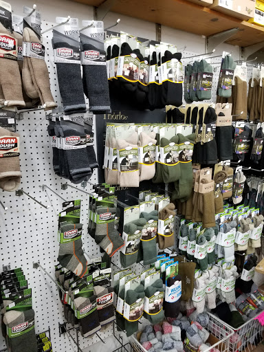 Surplus Store «Stevens Creek Surplus», reviews and photos, 3449 Stevens Creek Blvd, San Jose, CA 95117, USA