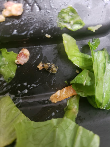 Fast Food Restaurant «Chick-fil-A», reviews and photos, 605 S James Campbell Blvd, Columbia, TN 38401, USA